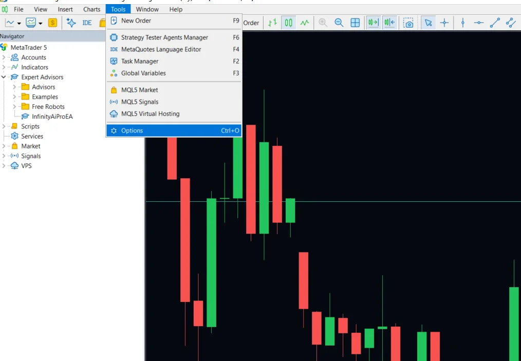 The MetaTrader Tools menu with Options highlighted